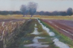 001-Landschap-IJsselham-Lakeweg